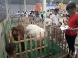 动物出租动物展览动物表演动物租赁